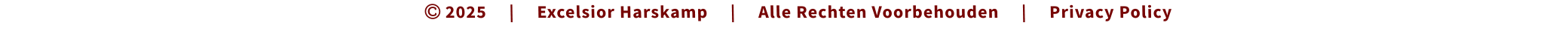  2025     |     Excelsior Harskamp     |     Alle Rechten Voorbehouden     |     Privacy Policy